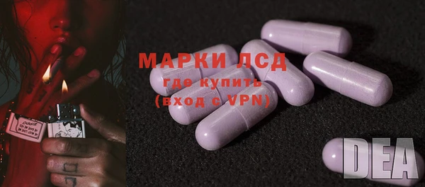 гашик Пересвет