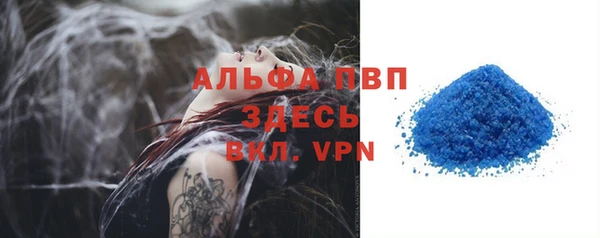 гашик Пересвет