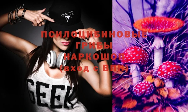 гашик Пересвет