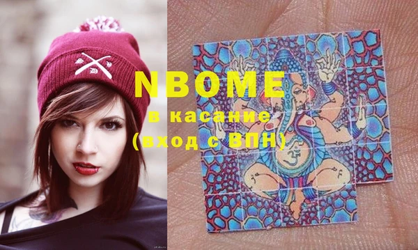 гашик Пересвет