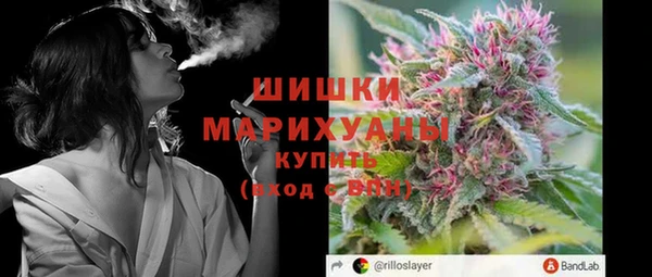 дурь Пестово