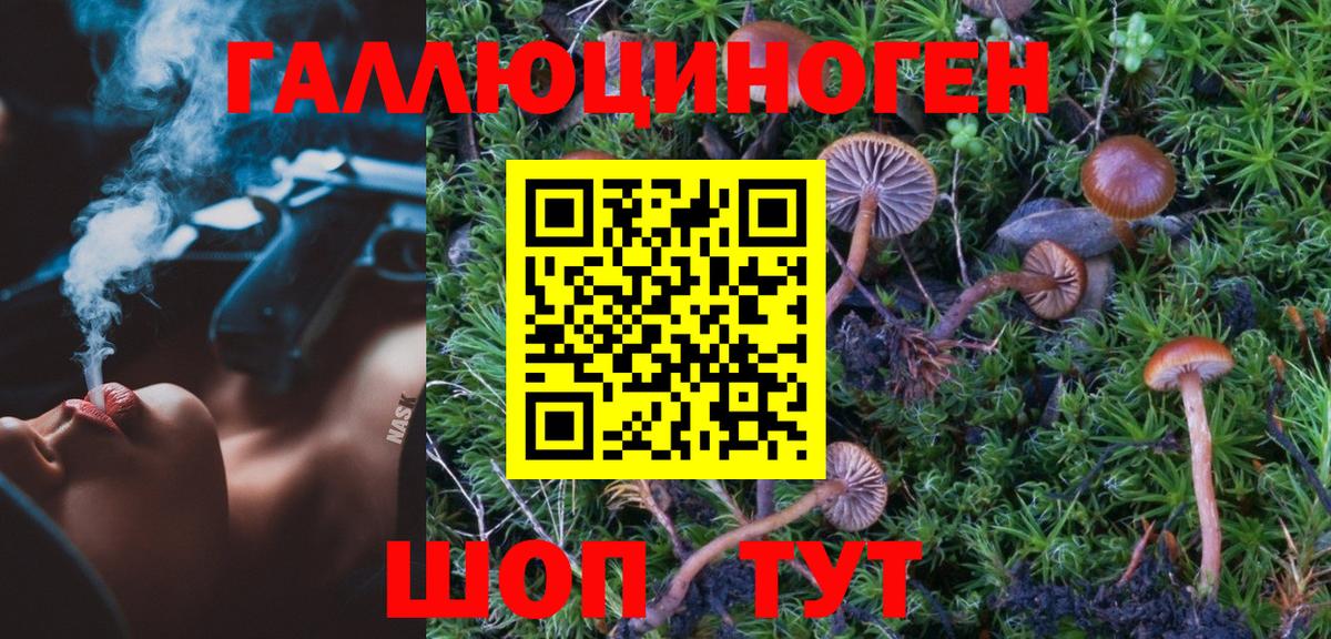 Котлас  Псилоцибиновые грибы прущие грибы  Вход с VPN 