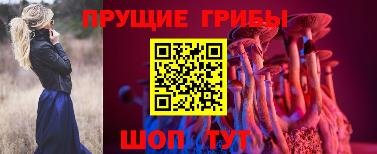 Галлюциногенные грибы Cubensis  Псилоцибиновые грибы ЛСД  Котлас 